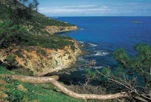 Before The Deluge: Jews Of The Mediterranean Islands - Cyprus