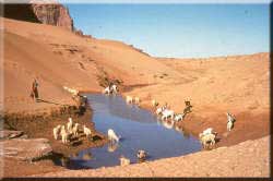 ig_negev Israel Guide: Nachalei Arugot, Devorah, Snir, and Yehudia; Negev