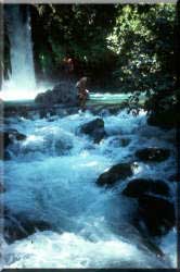 Israel Guide: Banyas Waterfalls