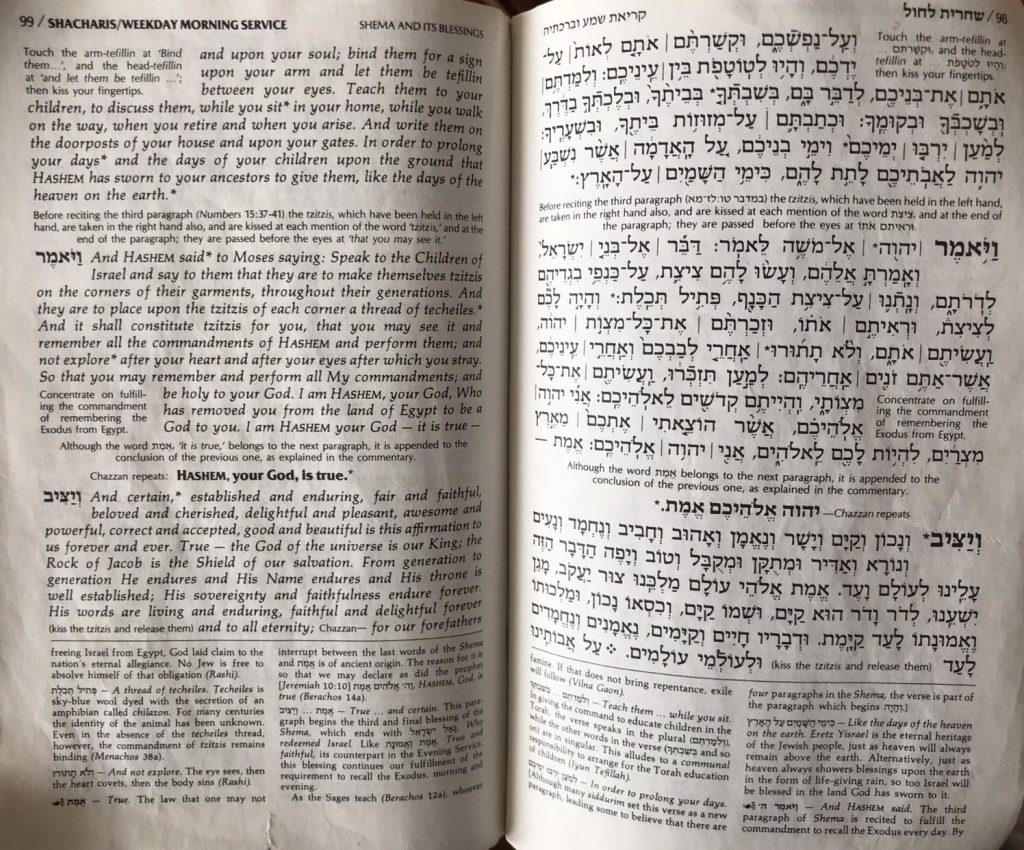Will the Real Techeiles / Tekhelet Color Please Show Up