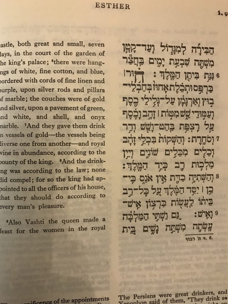 Will the Real Techeiles / Tekhelet Color Please Show Up