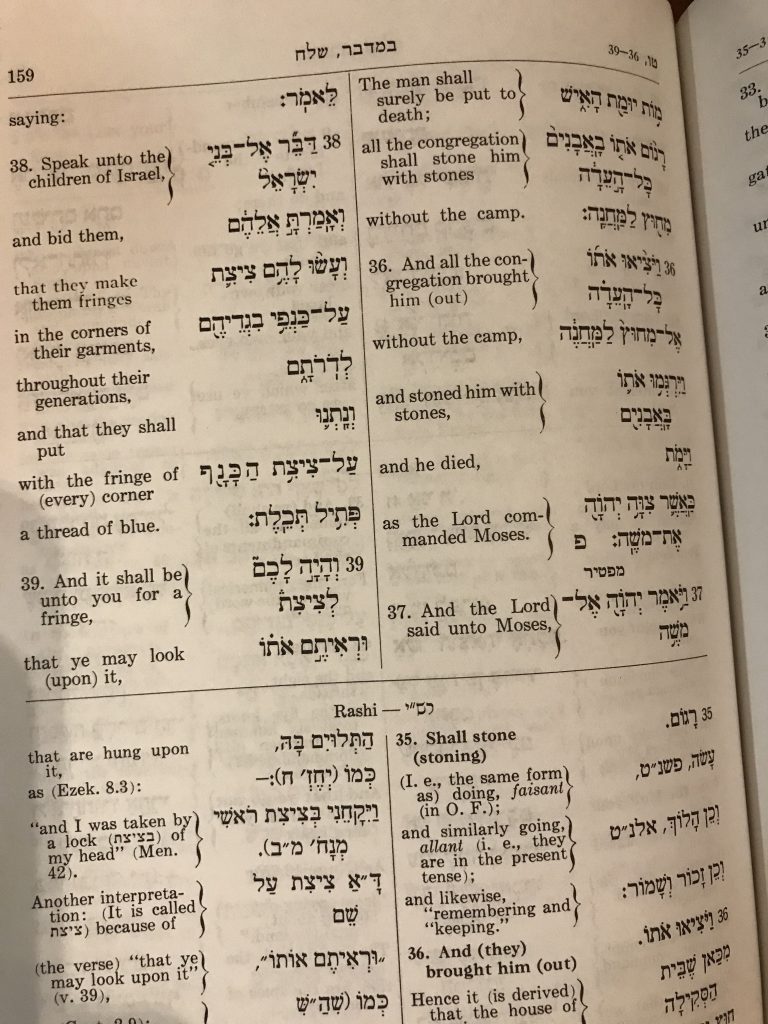 Will the Real Techeiles / Tekhelet Color Please Show Up