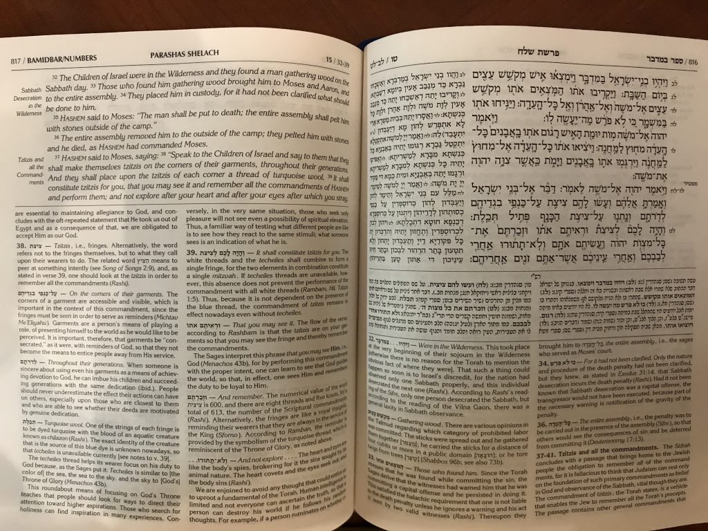 Will the Real Techeiles / Tekhelet Color Please Show Up